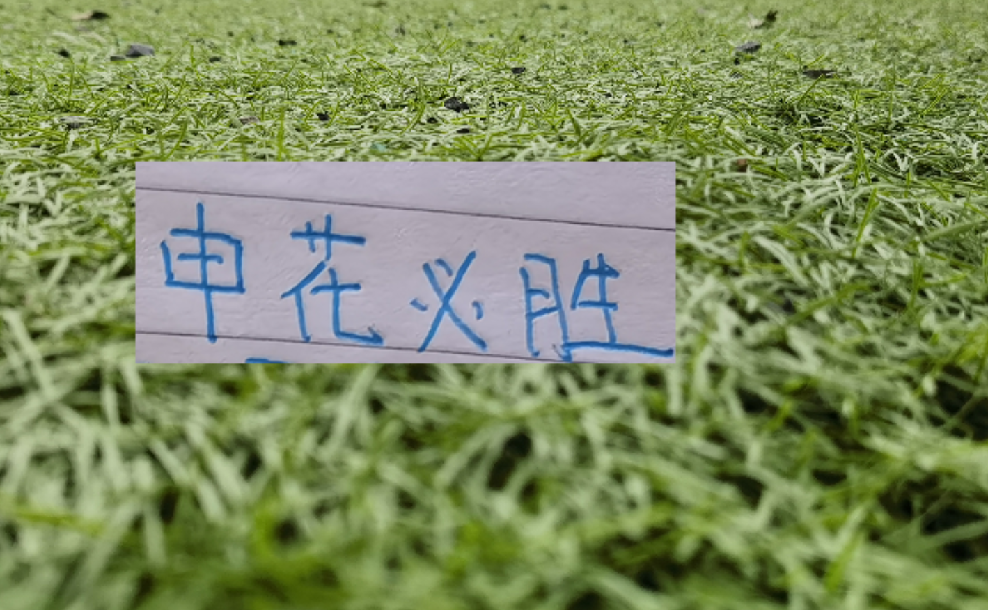 乐鱼体育-第8轮中超未扣分纯净版！可能才是申花球迷最想要积分榜